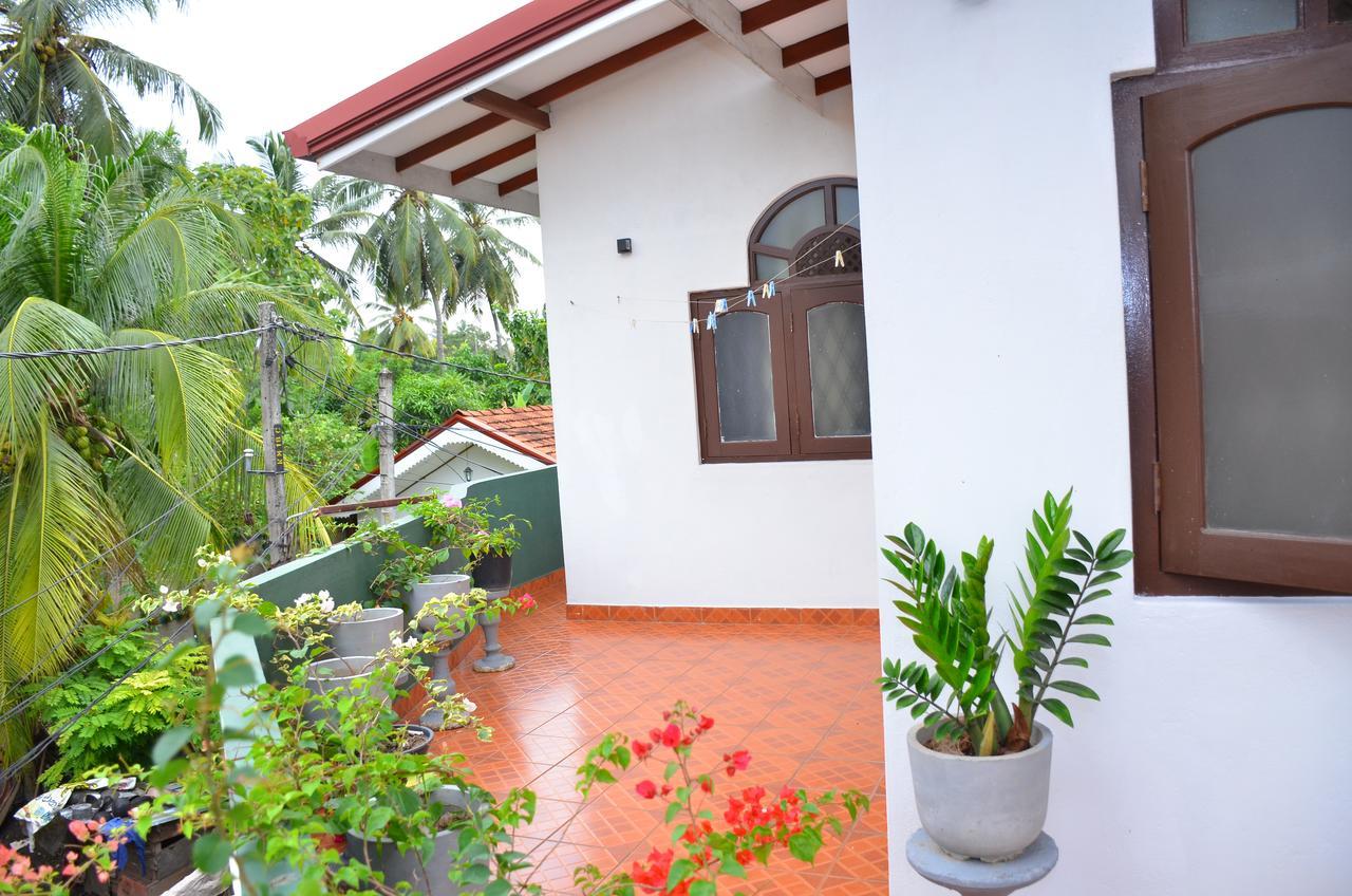 Lilly Palace Villa Guest House Negombo Exteriér fotografie
